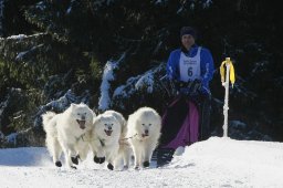 Les Breuleux 2009